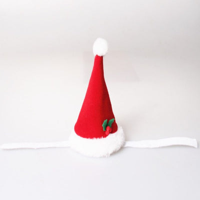 Bonnet pour Chat Mère Noël