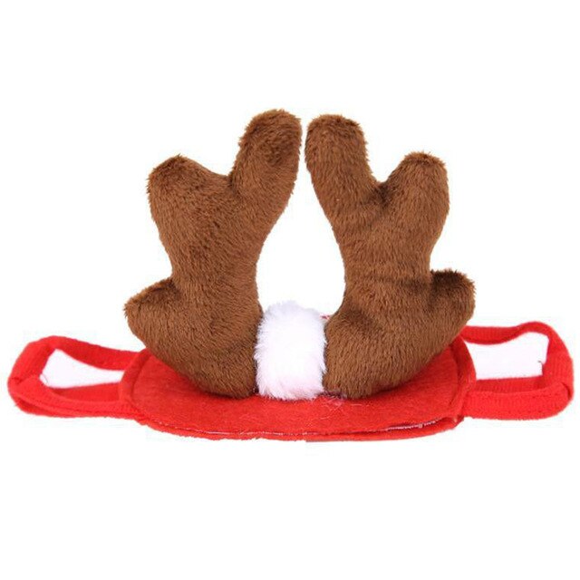 Bonnet pour Chat Mère Noël
