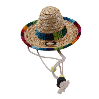 Chapeau pour Chat Randonneur Mexicain