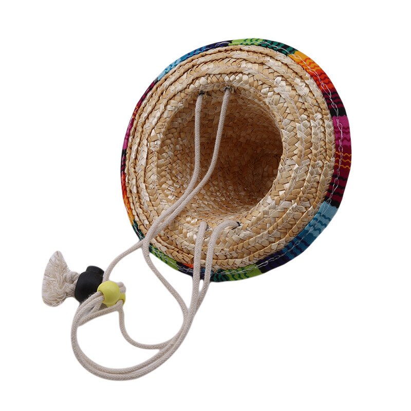 Chat Grand Chapeau | Bob Nation