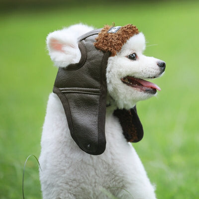 Bonnet pour Chien Aviateur WW2